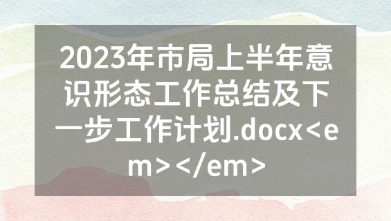 2023年市局上半年意识形态工作总结及下一步工作计划.docx<em></em>