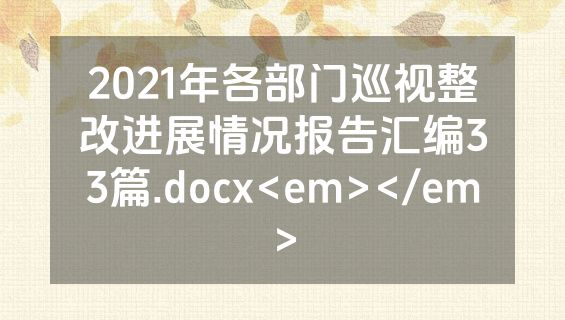 2021年各部门巡视整改进展情况报告汇编33篇.docx<em></em>
