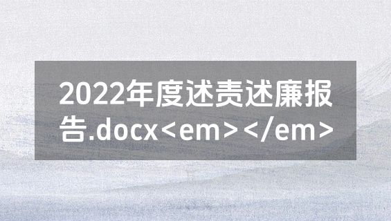 2022年度述责述廉报告.docx<em></em>