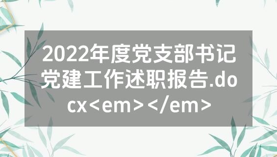 2022年度党支部书记党建工作述职报告.docx<em></em>