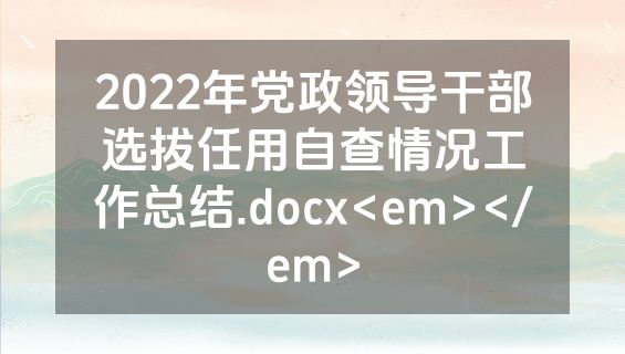 2022年党政领导干部选拔任用自查情况工作总结.docx<em></em>