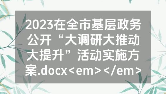 2023在全市基层政务公开“大调研大推动大提升”活动实施方案.docx<em></em>