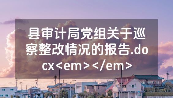 县审计局党组关于巡察整改情况的报告.docx<em></em>