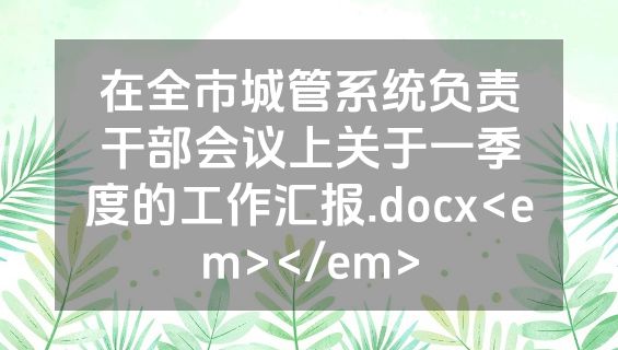 在全市城管系统负责干部会议上关于一季度的工作汇报.docx<em></em>