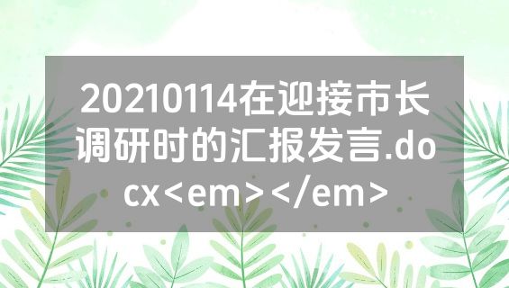 20210114在迎接市长调研时的汇报发言.docx<em></em>