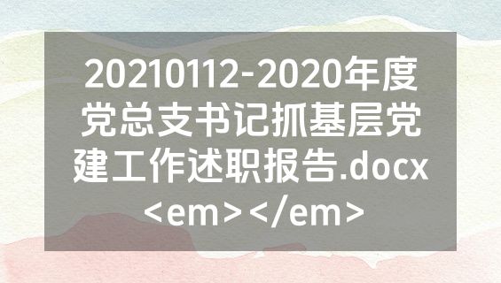 20210112-2020年度党总支书记抓基层党建工作述职报告.docx<em></em>