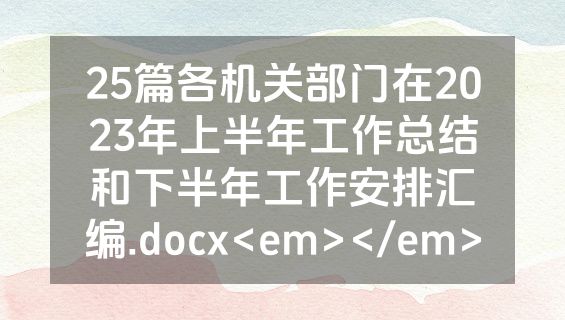25篇各机关部门在2023年上半年工作总结和下半年工作安排汇编.docx<em></em>