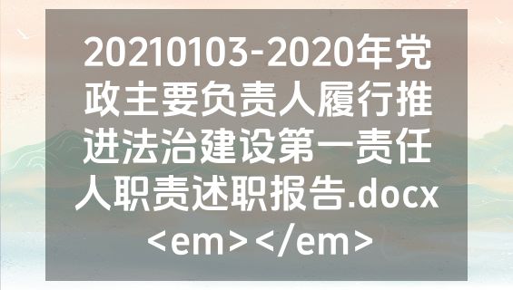 20210103-2020年党政主要负责人履行推进法治建设第一责任人职责述职报告.docx<em></em>