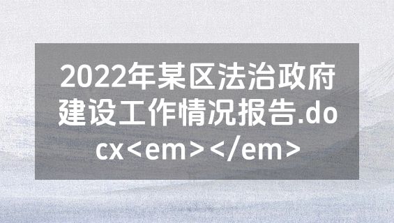 2022年某区法治政府建设工作情况报告.docx<em></em>