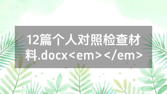 12篇个人对照检查材料.docx<em></em>