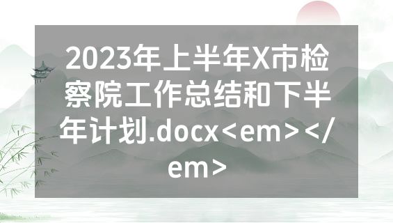 2023年上半年X市检察院工作总结和下半年计划.docx<em></em>