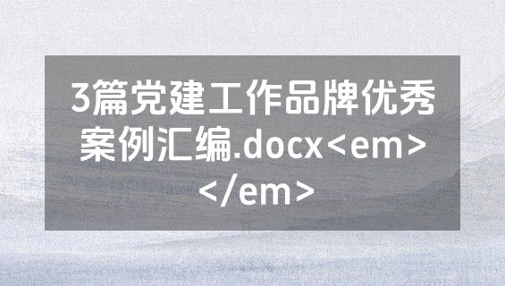 3篇党建工作品牌优秀案例汇编.docx<em></em>