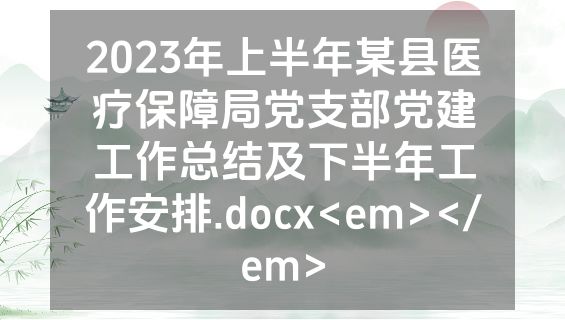 2023年上半年某县医疗保障局党支部党建工作总结及下半年工作安排.docx<em></em>
