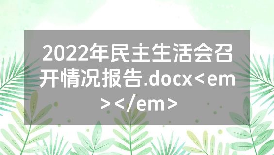 2022年民主生活会召开情况报告.docx<em></em>