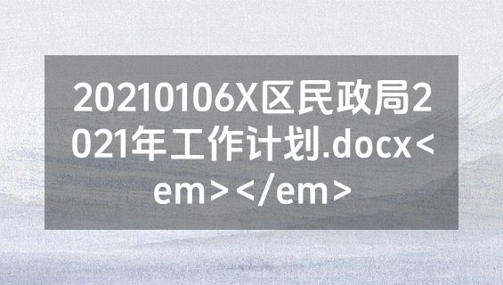 20210106X区民政局2021年工作计划.docx<em></em>