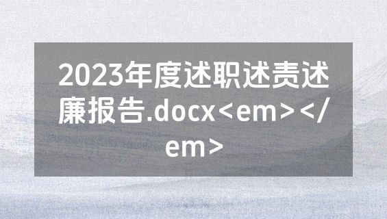 2023年度述职述责述廉报告.docx<em></em>