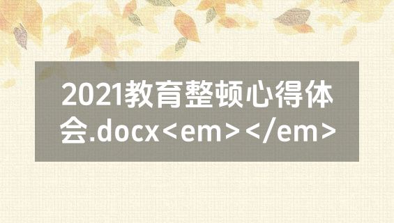 2021教育整顿心得体会.docx<em></em>