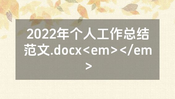 2022年个人工作总结范文.docx<em></em>