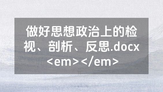 做好思想政治上的检视、剖析、反思.docx<em></em>