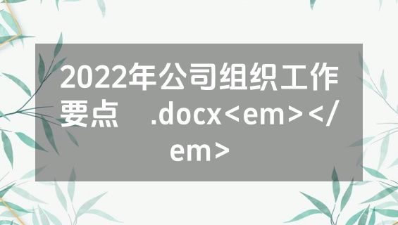 2022年公司组织工作要点 .docx<em></em>