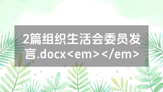 2篇组织生活会委员发言.docx<em></em>