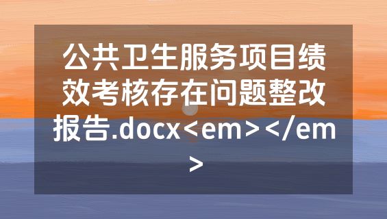 公共卫生服务项目绩效考核存在问题整改报告.docx<em></em>