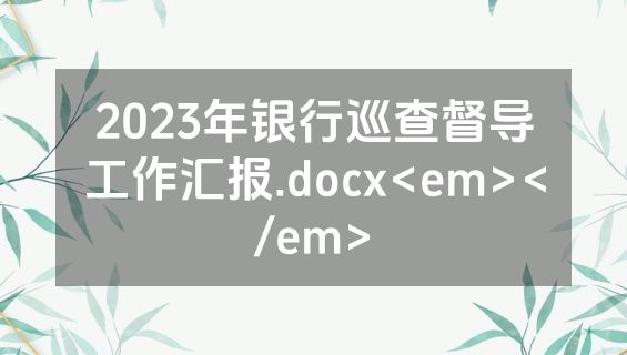 2023年银行巡查督导工作汇报.docx<em></em>