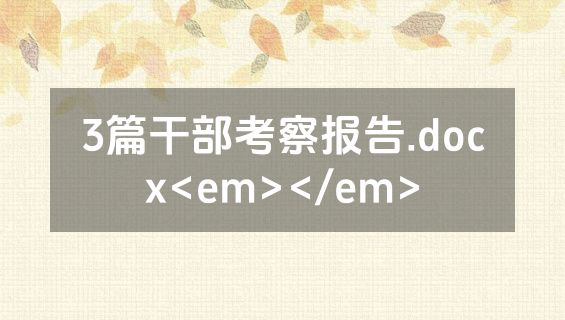 3篇干部考察报告.docx<em></em>