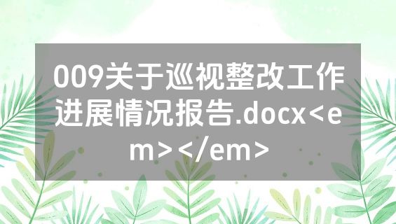 009关于巡视整改工作进展情况报告.docx<em></em>