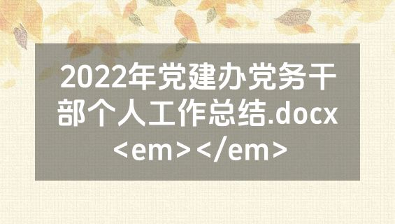 2022年党建办党务干部个人工作总结.docx<em></em>