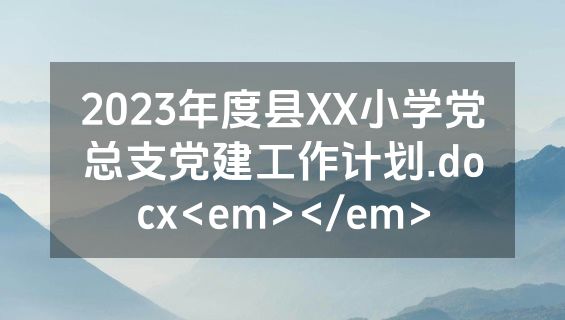 2023年度县XX小学党总支党建工作计划.docx<em></em>