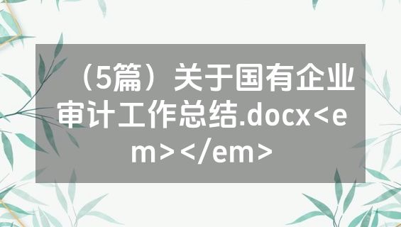 （5篇）关于国有企业审计工作总结.docx<em></em>