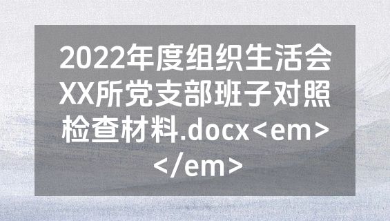 2022年度组织生活会XX所党支部班子对照检查材料.docx<em></em>
