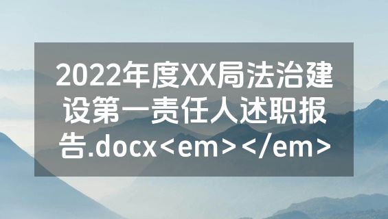 2022年度XX局法治建设第一责任人述职报告.docx<em></em>