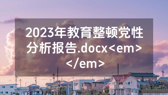 2023年教育整顿党性分析报告.docx<em></em>