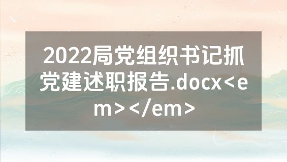 2022局党组织书记抓党建述职报告.docx<em></em>
