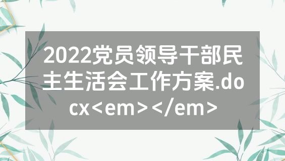 2022党员领导干部民主生活会工作方案.docx<em></em>