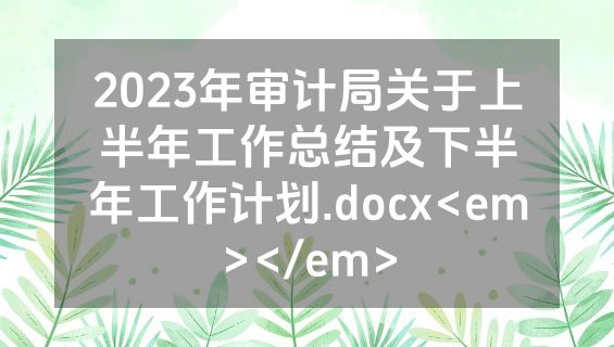 2023年审计局关于上半年工作总结及下半年工作计划.docx<em></em>