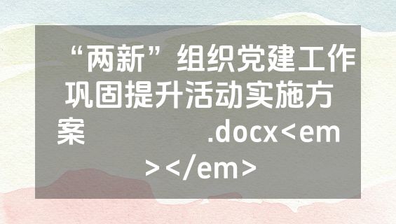 “两新”组织党建工作巩固提升活动实施方案​​​​.docx<em></em>