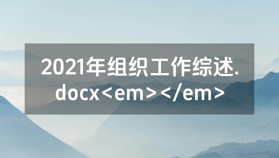 2021年组织工作综述.docx<em></em>