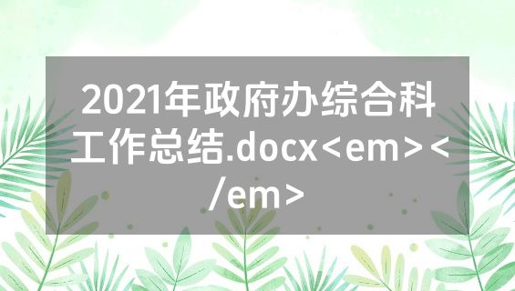 2021年政府办综合科工作总结.docx<em></em>