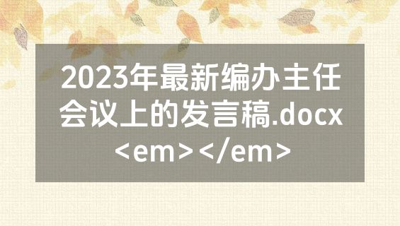 2023年最新编办主任会议上的发言稿.docx<em></em>