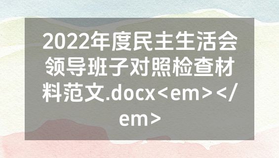 2022年度民主生活会领导班子对照检查材料范文.docx<em></em>