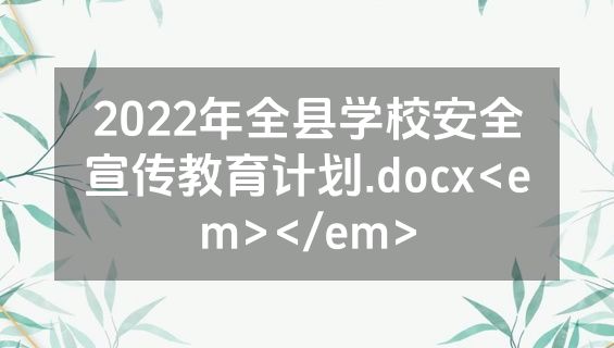 2022年全县学校安全宣传教育计划.docx<em></em>