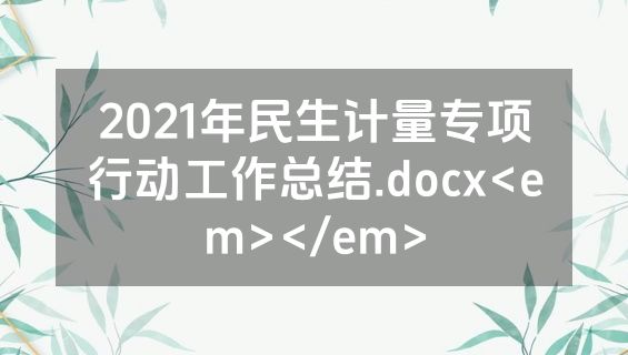 2021年民生计量专项行动工作总结.docx<em></em>