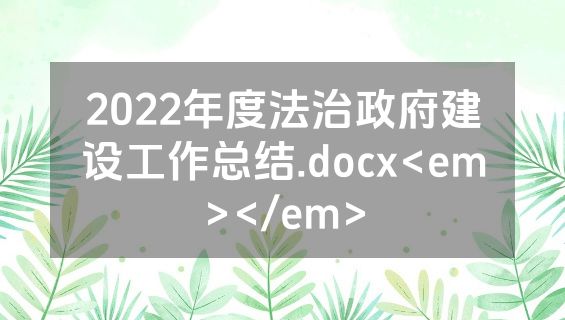2022年度法治政府建设工作总结.docx<em></em>