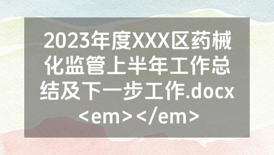 2023年度XXX区药械化监管上半年工作总结及下一步工作.docx<em></em>