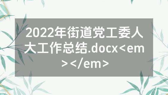 2022年街道党工委人大工作总结.docx<em></em>