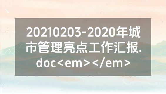20210203-2020年城市管理亮点工作汇报.doc<em></em>