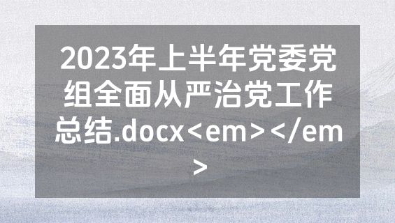 2023年上半年党委党组全面从严治党工作总结.docx<em></em>